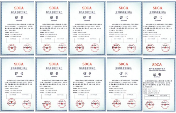 恭喜，重慶首批10家單位通過軟件服務商交付能力評估